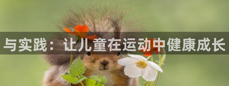 oety欧亿