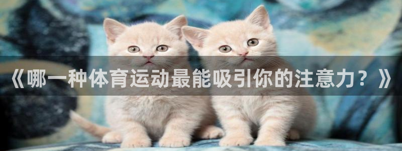 oety欧亿