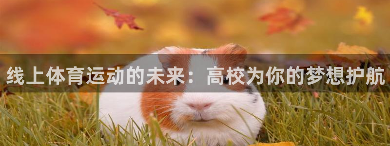 oety欧亿