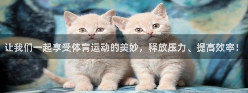 oety欧亿