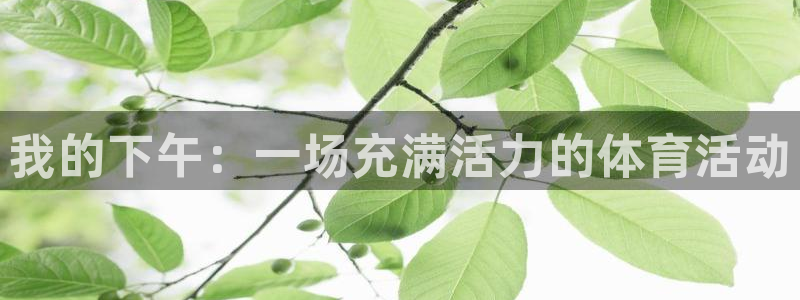 oety欧亿：我的下午：一场充满活力的体育活动