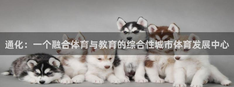 oety欧亿：通化：一个融合体育与教育的综合性城市体育发展中心