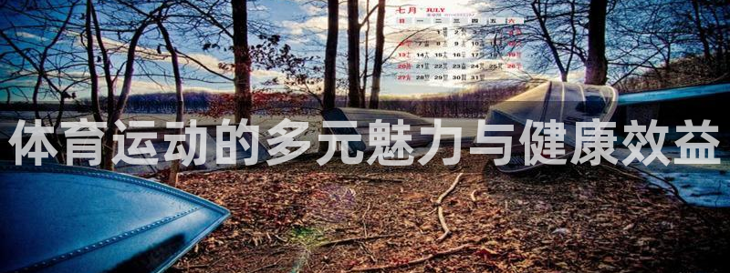 oety欧亿：体育运动的多元魅力与健康效益
