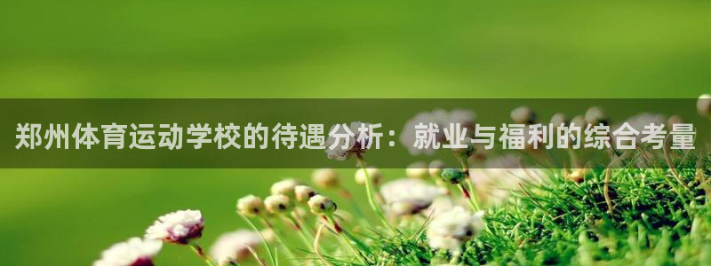 oety欧亿：郑州体育运动学校的待遇分析：就业与福利的综合考量