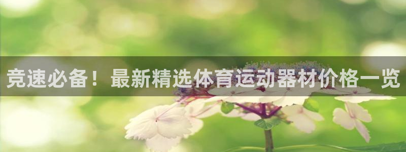 oety欧亿：竞速必备！最新精选体育运动器材价格一览