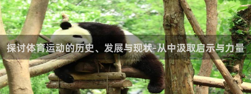 oety欧亿：探讨体育运动的历史、发展与现状-从中汲取启示与力量