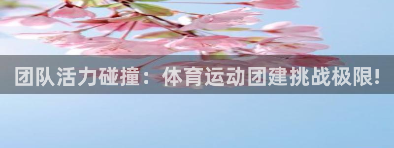 oety欧亿：团队活力碰撞：体育运动团建挑战极限!