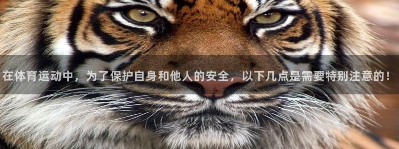 oety欧亿：在体育运动中，为了保护自身和他人的安全，以下几点是需要特别注意的！